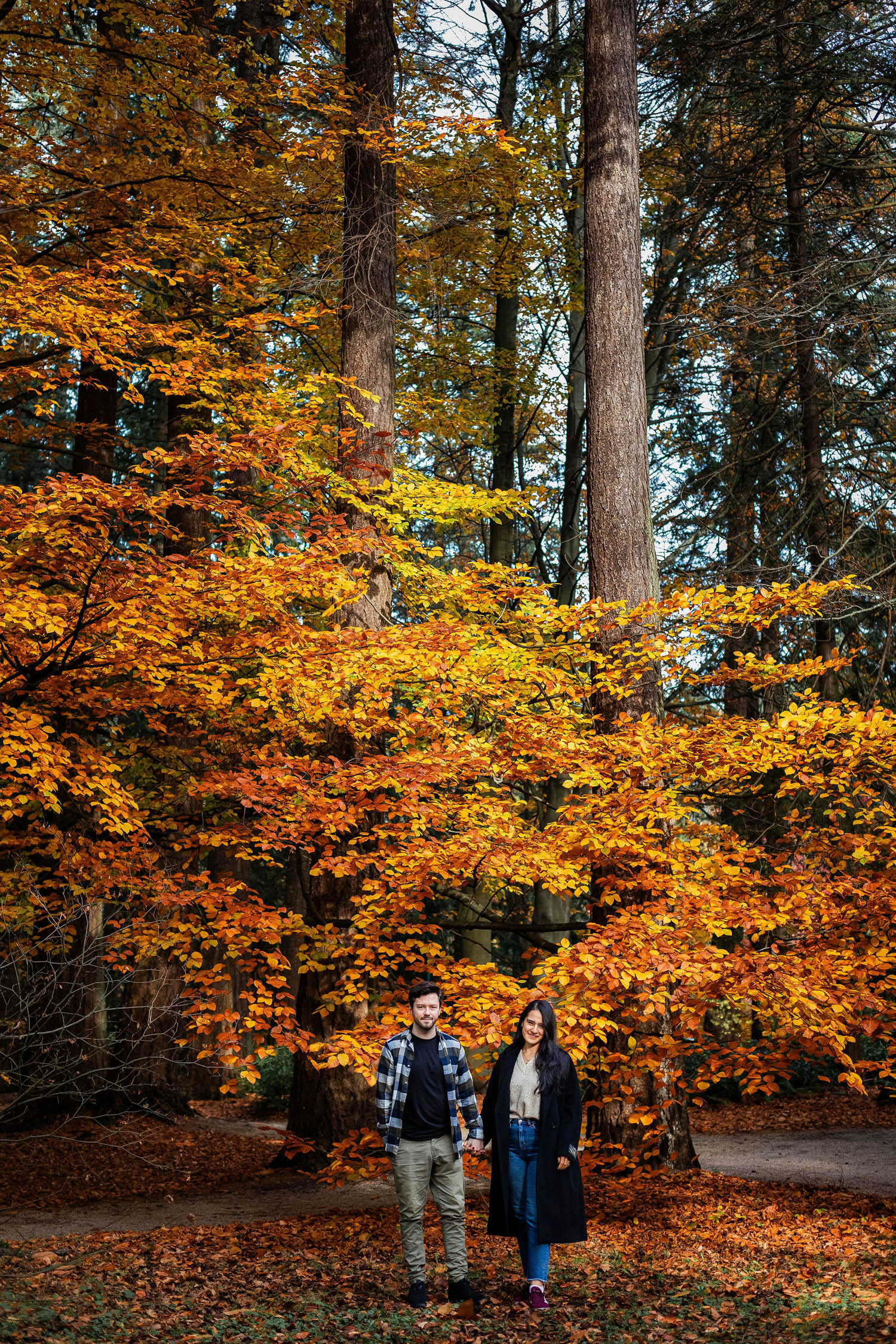 autumn leaves changing in vancouver engagement session