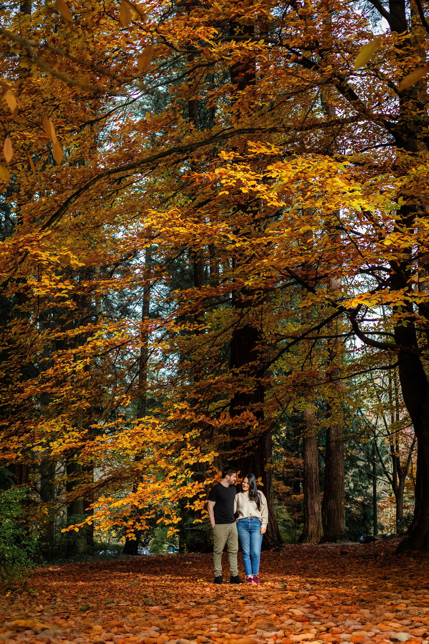landscape shot of couple at fall engagement session in stanley park