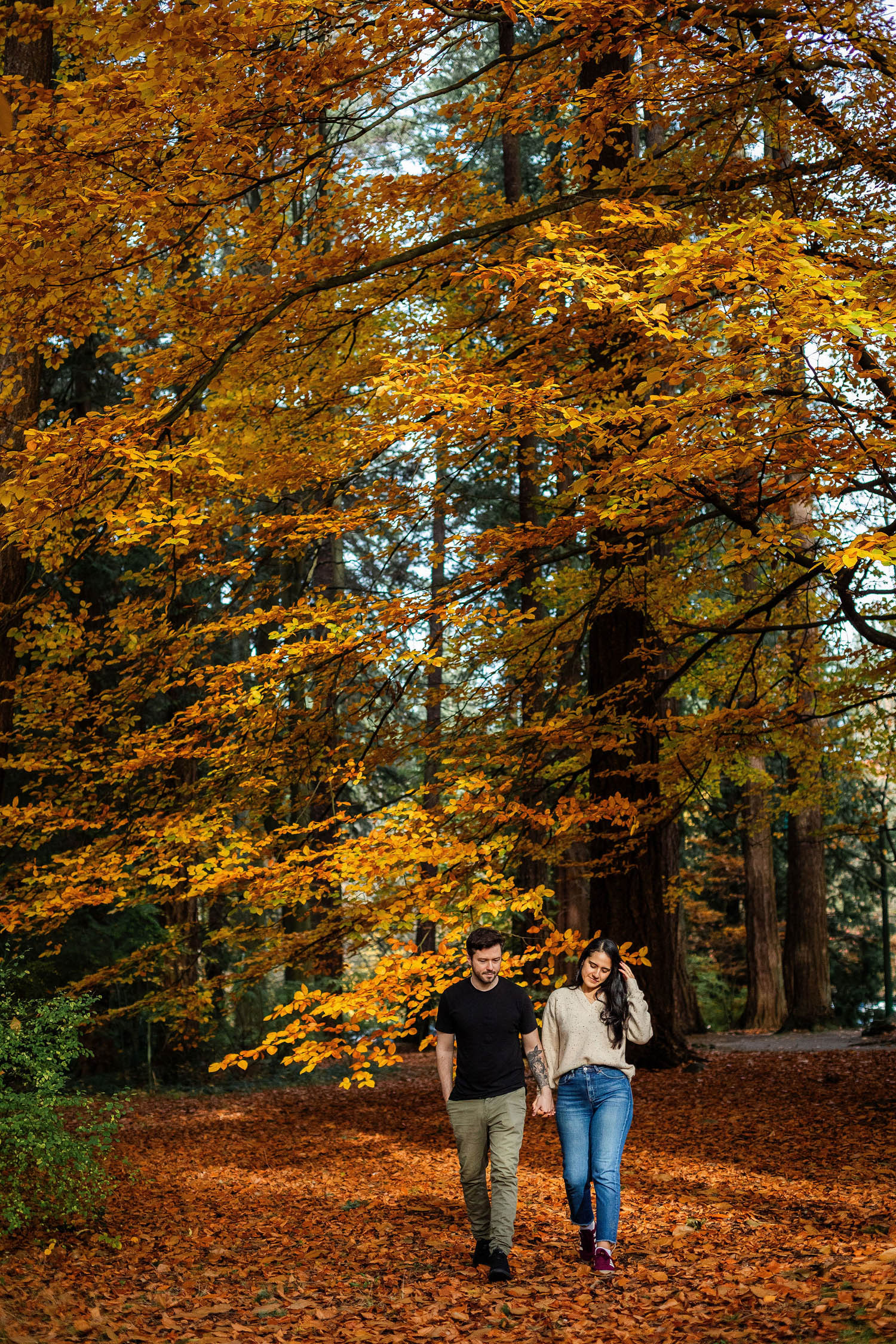 couple walking through autumn forest in vancouver engagement session