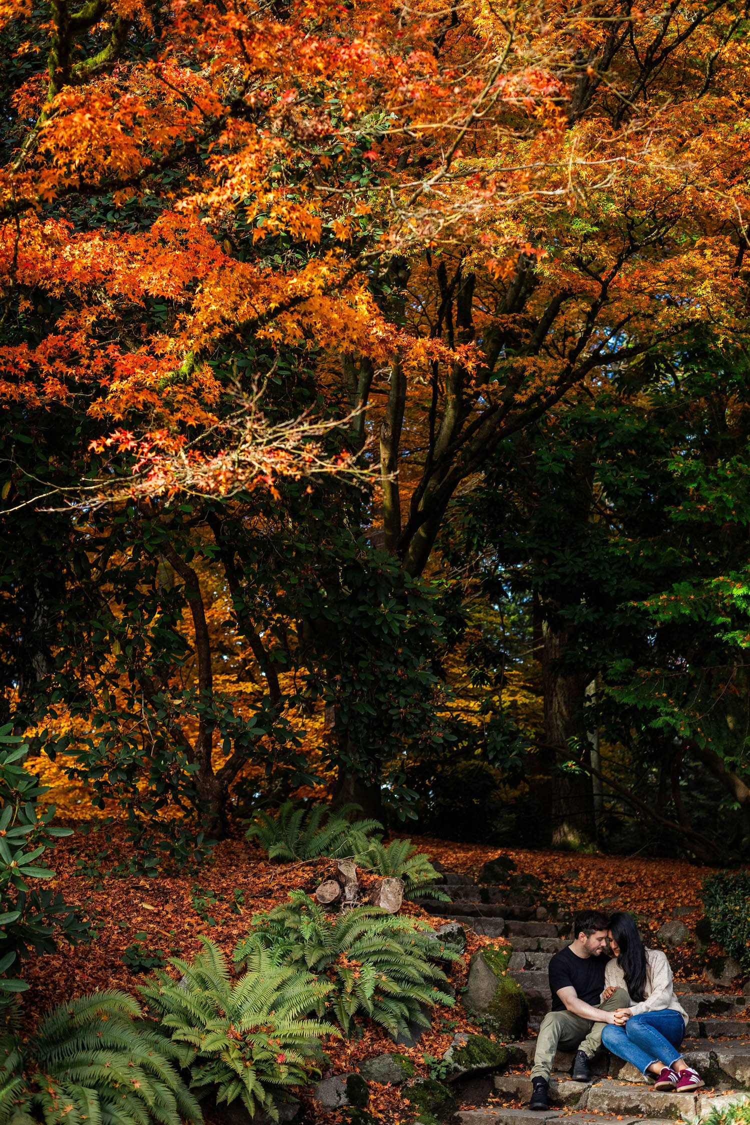 couple sitting on stairs at autumn engagement session in stanley park