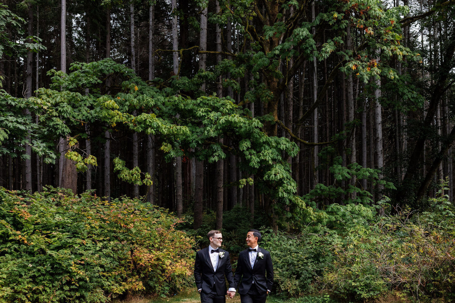 groom portrait at hollow tree stanley park forest