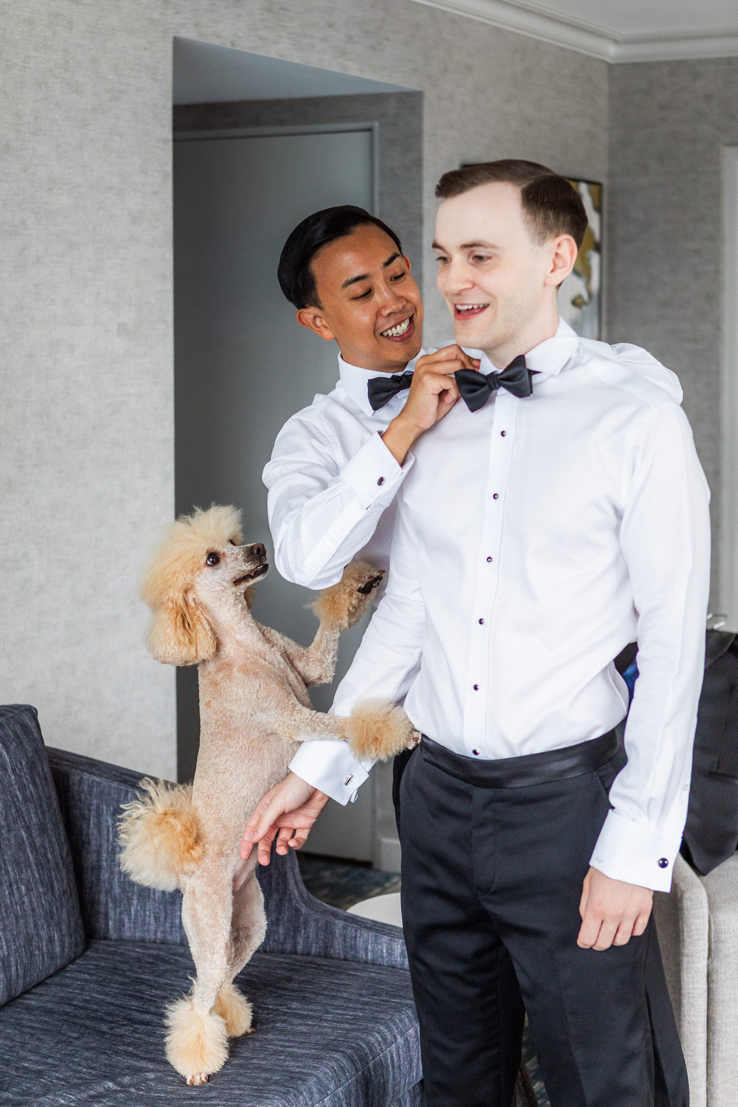 grooms getting ready with their dog before their wedding ceremony